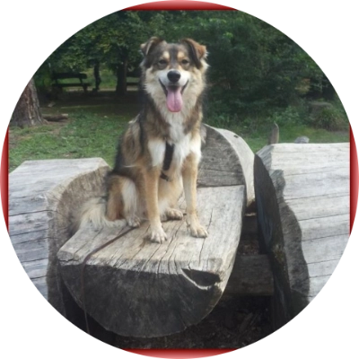 Profile picture for user smiley